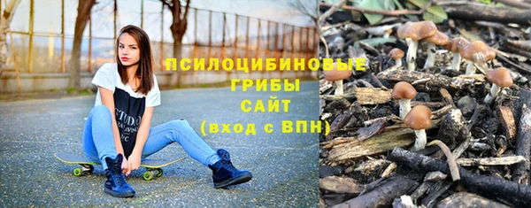 мет Осташков