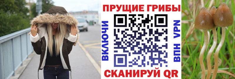 Галлюциногенные грибы Magic Shrooms  Электрогорск 