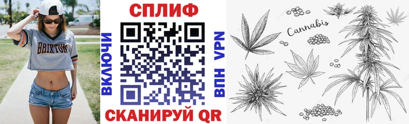 hydra где найти наркотики Электрогорск МАРИХУАНА White Widow